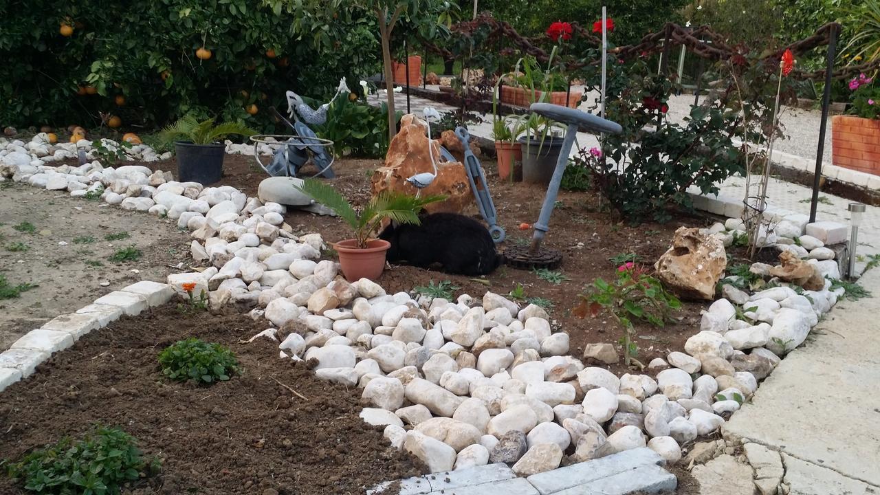 Asbn Magic Garden Villa Akko Eksteriør billede