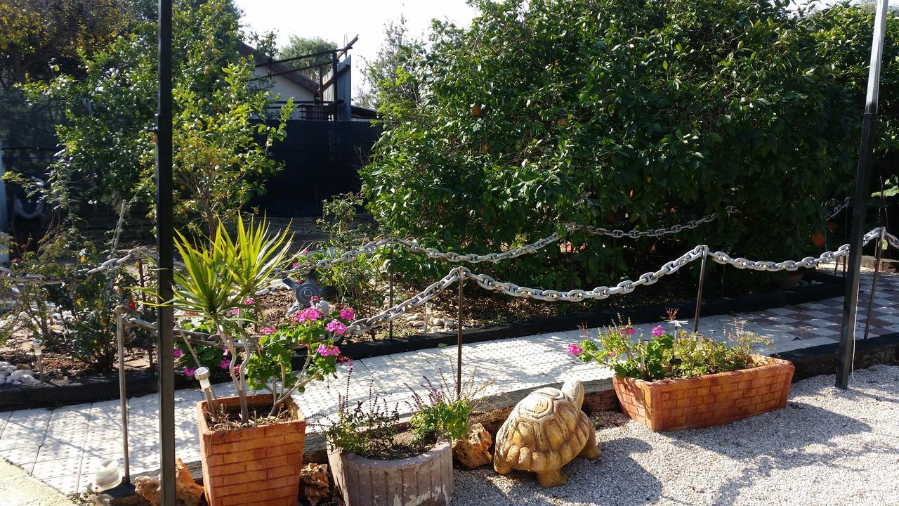 Asbn Magic Garden Villa Akko Eksteriør billede