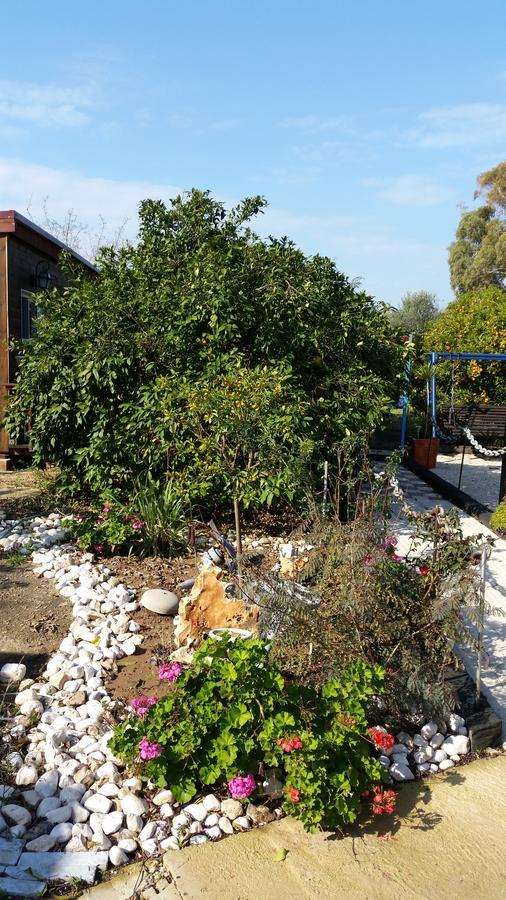 Asbn Magic Garden Villa Akko Eksteriør billede