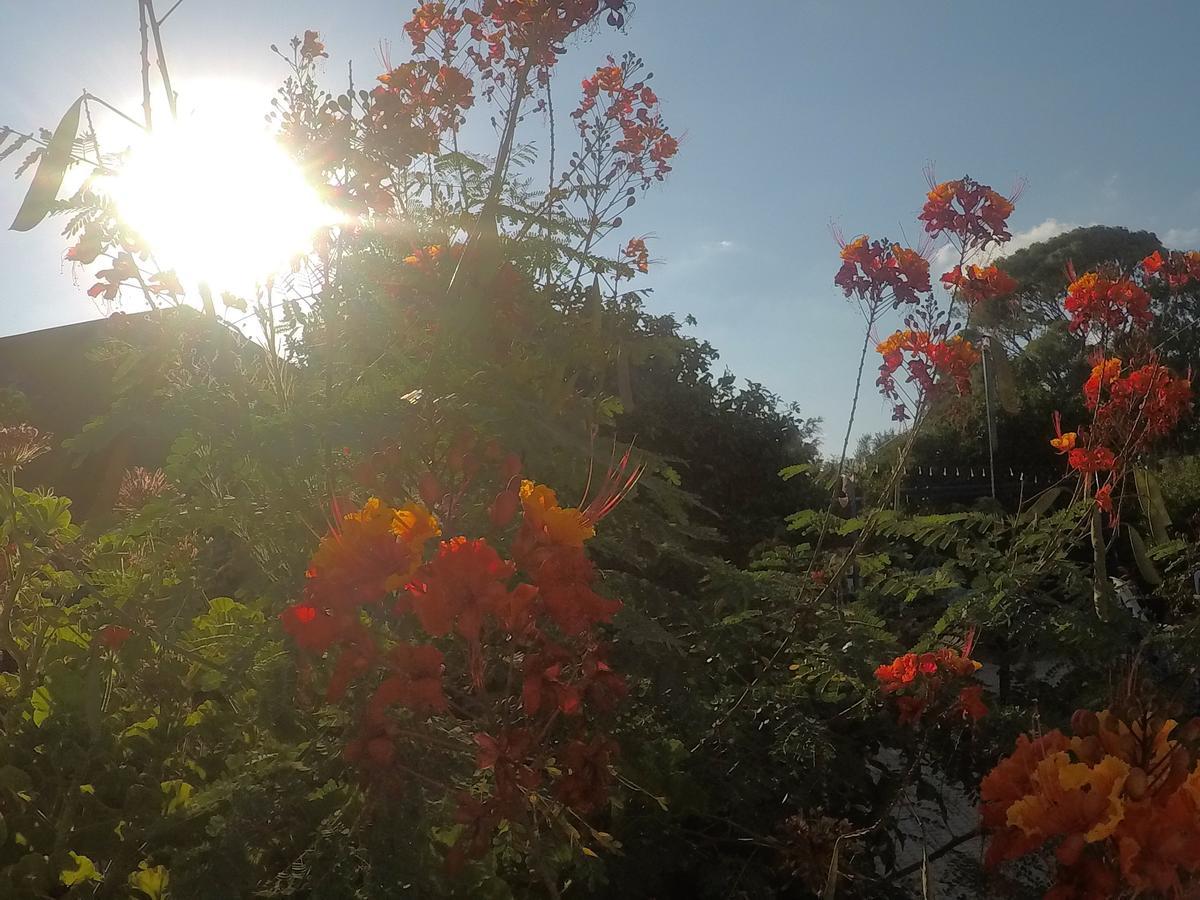 Asbn Magic Garden Villa Akko Eksteriør billede