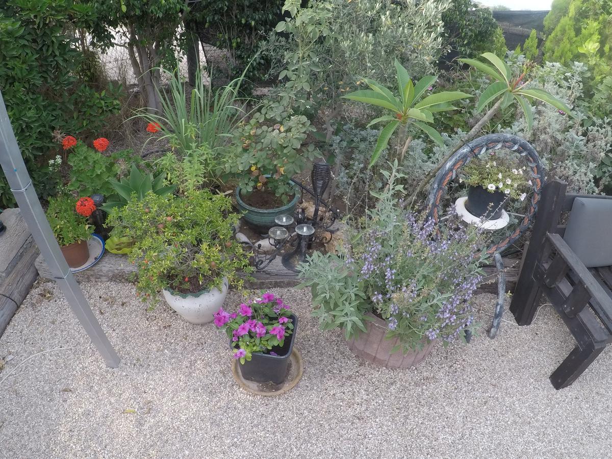 Asbn Magic Garden Villa Akko Eksteriør billede